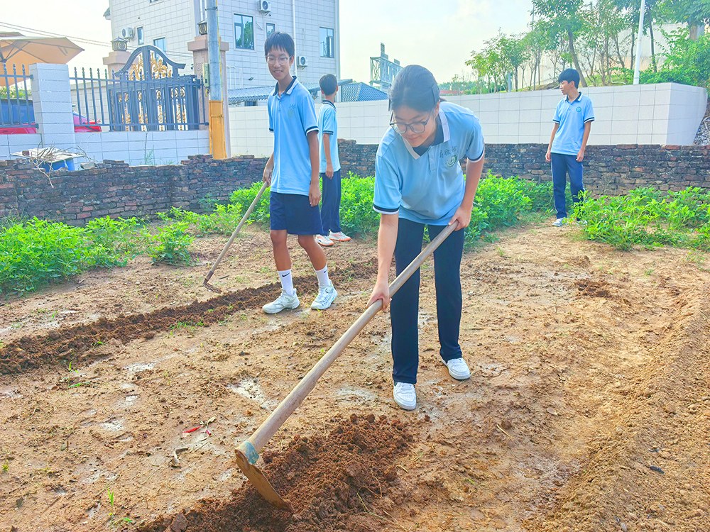 沧州叛逆期孩子培训学校具体位置与择校指南